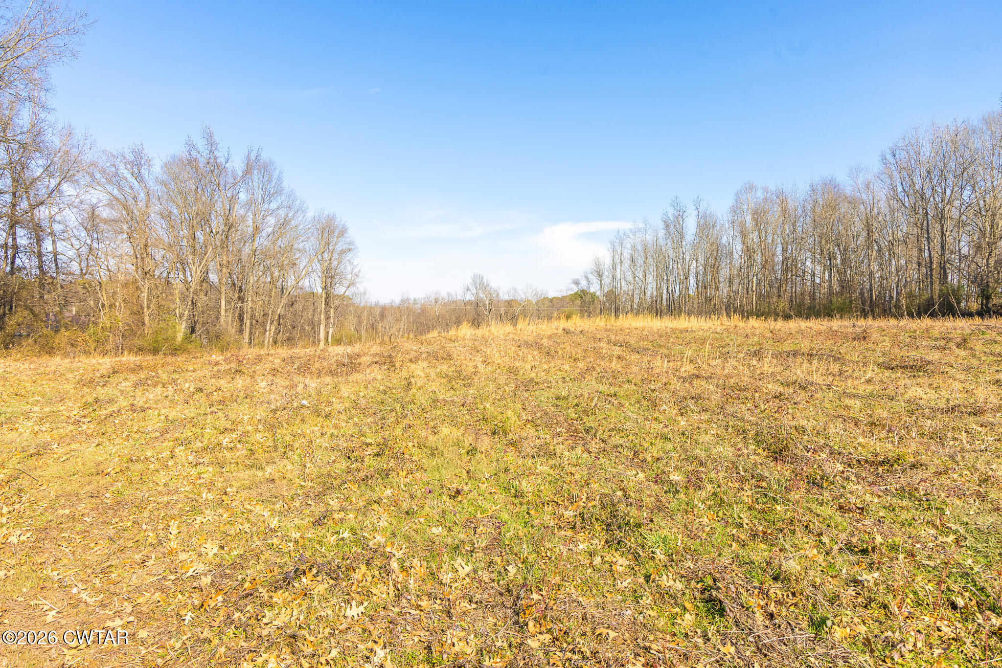 0 Baker Road Martin, TN 38237 - Photo 11 of 18 FT8A0225