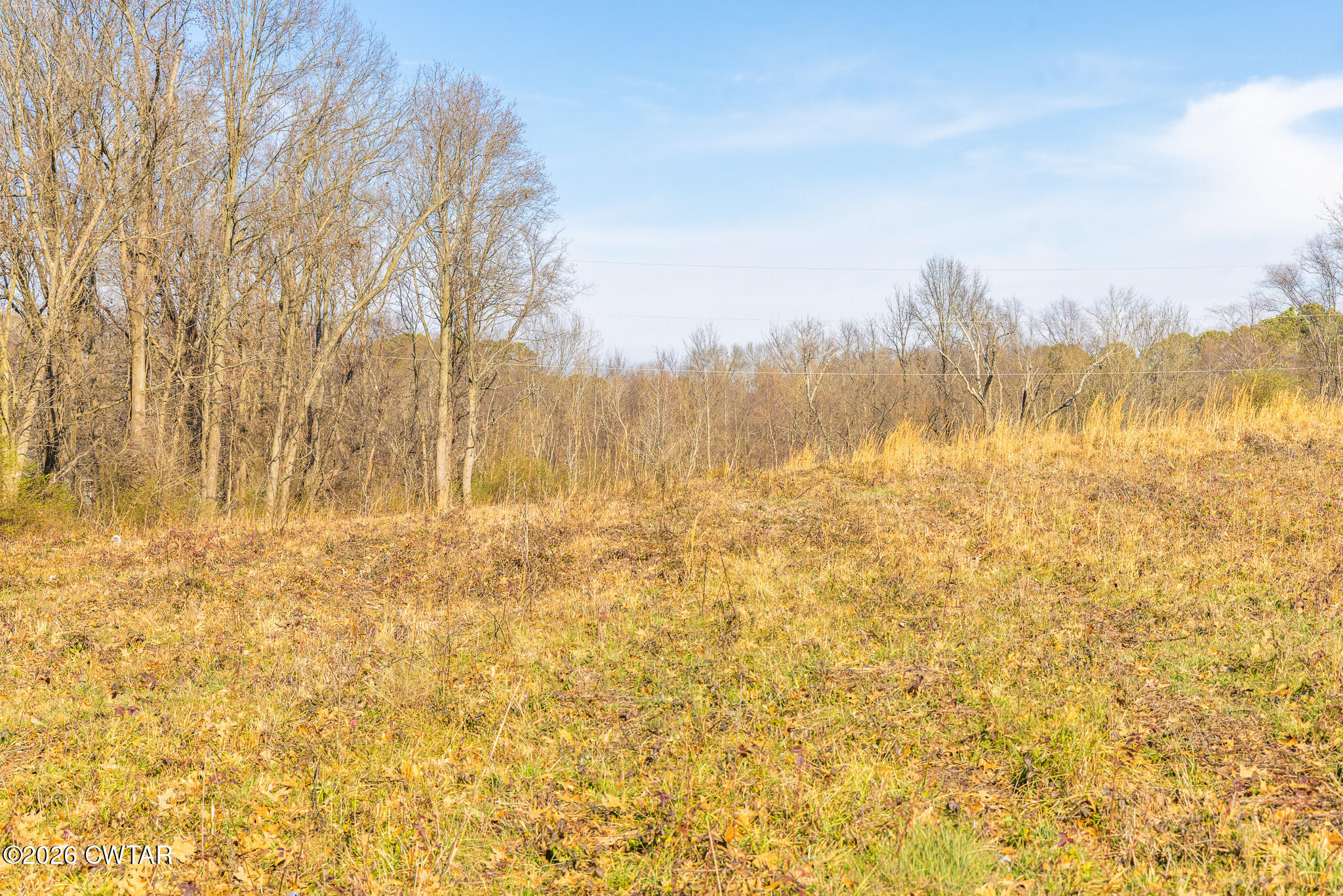 0 Baker Road Martin, TN 38237 - Photo 12 of 18 FT8A0226