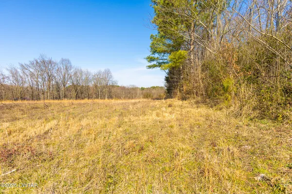 a view of yard covered with snow