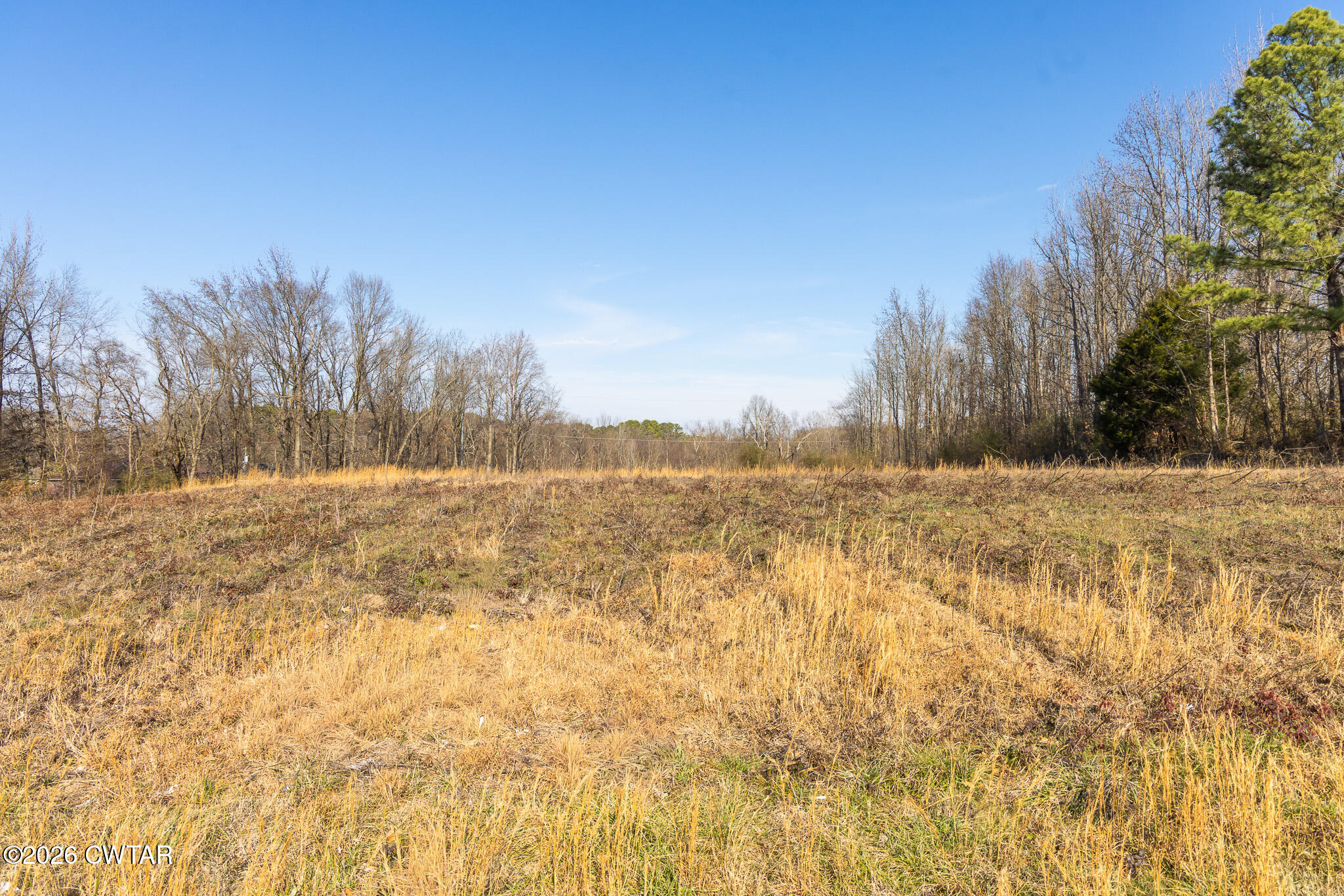 0 Baker Road Martin, TN 38237 - Photo 16 of 18 FT8A0231