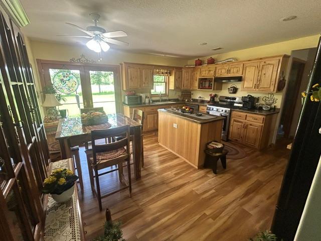 30873 Harristown Road Grand Rapids, MN 55744 - Photo 9 of 19