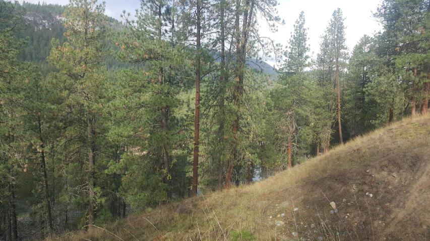 2447 F Pierre Lake Road Kettle Falls, WA 99141 - Photo 3 of 10 Gallery Image 3