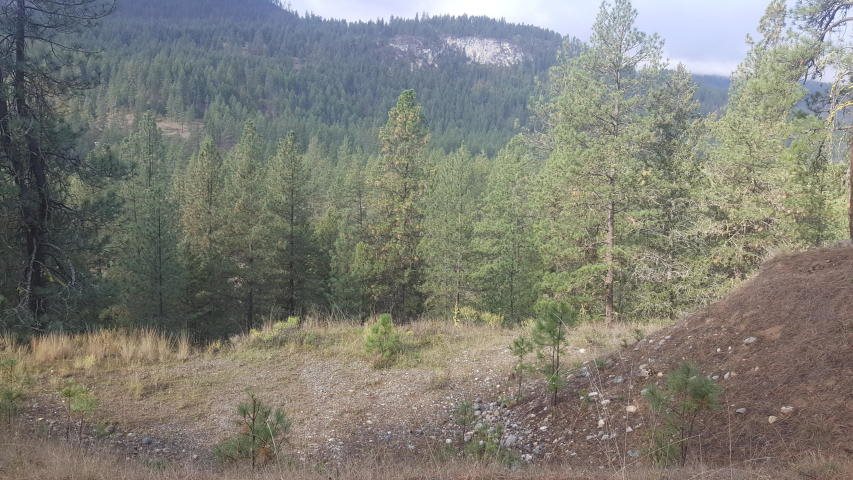 2447 F Pierre Lake Road Kettle Falls, WA 99141 - Photo 5 of 10 Gallery Image 5