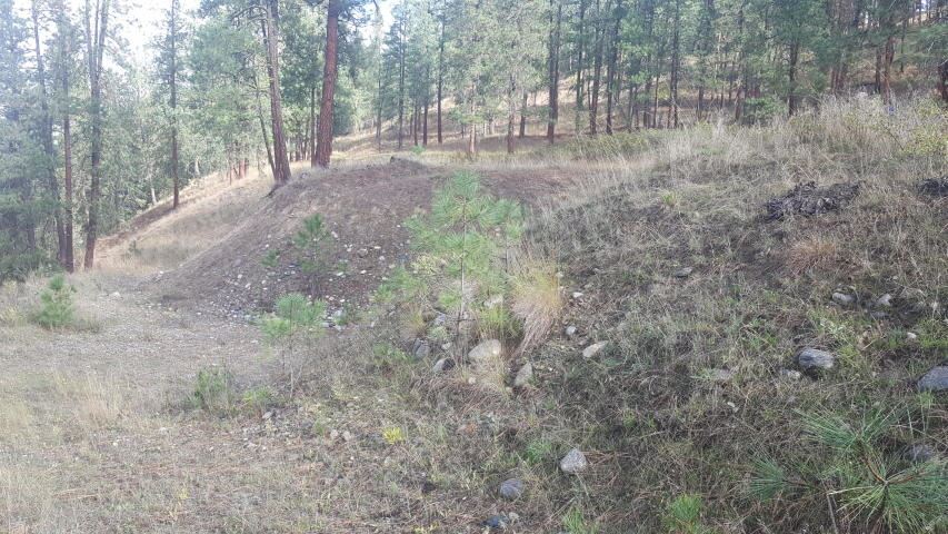 2447 F Pierre Lake Road Kettle Falls, WA 99141 - Photo 6 of 10 Gallery Image 6