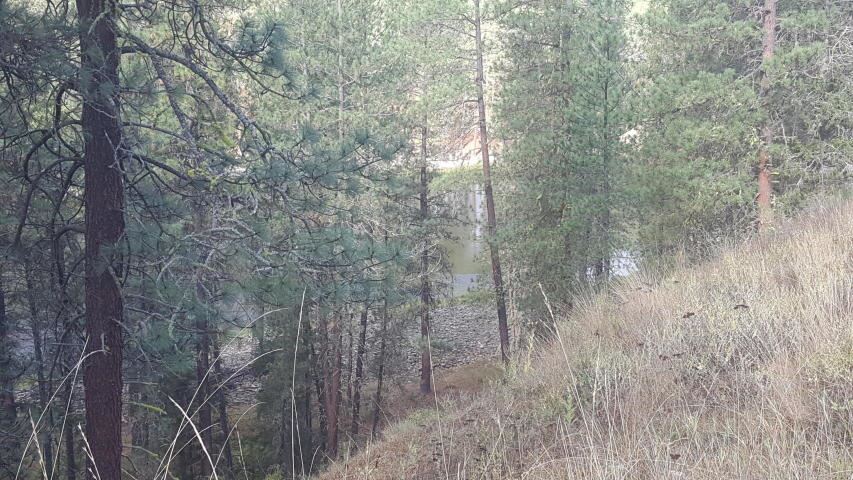 2447 F Pierre Lake Road Kettle Falls, WA 99141 - Photo 7 of 10 Gallery Image 7