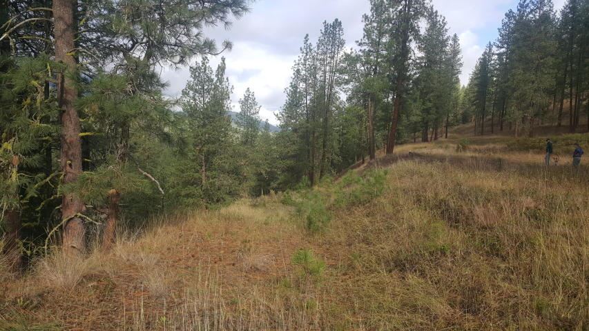 2447 F Pierre Lake Road Kettle Falls, WA 99141 - Photo 8 of 10 Gallery Image 8