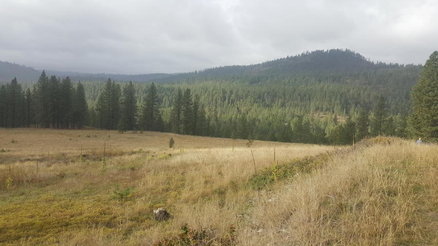 2447 F Pierre Lake Road Kettle Falls, WA 99141 - Photo 9 of 10 Gallery Image 9