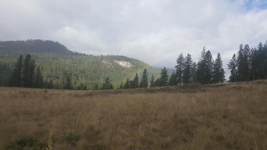 2447 F Pierre Lake Road Kettle Falls, WA 99141 - Photo 10 of 10 Gallery Image 10