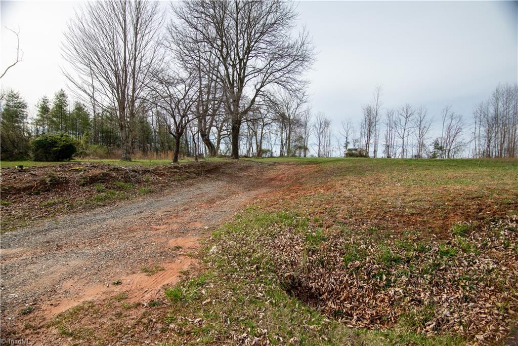 174 Reely Cook Road Dobson, NC 27017 - Photo 10 of 18 Gallery Image 10
