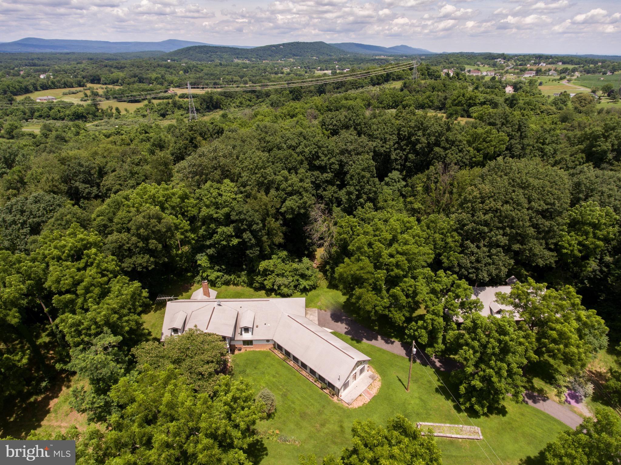 2619 Apple Pie Ridge Road Winchester, VA 22603 - Photo 2 of 29 a view of a lush green field with lots of bushes