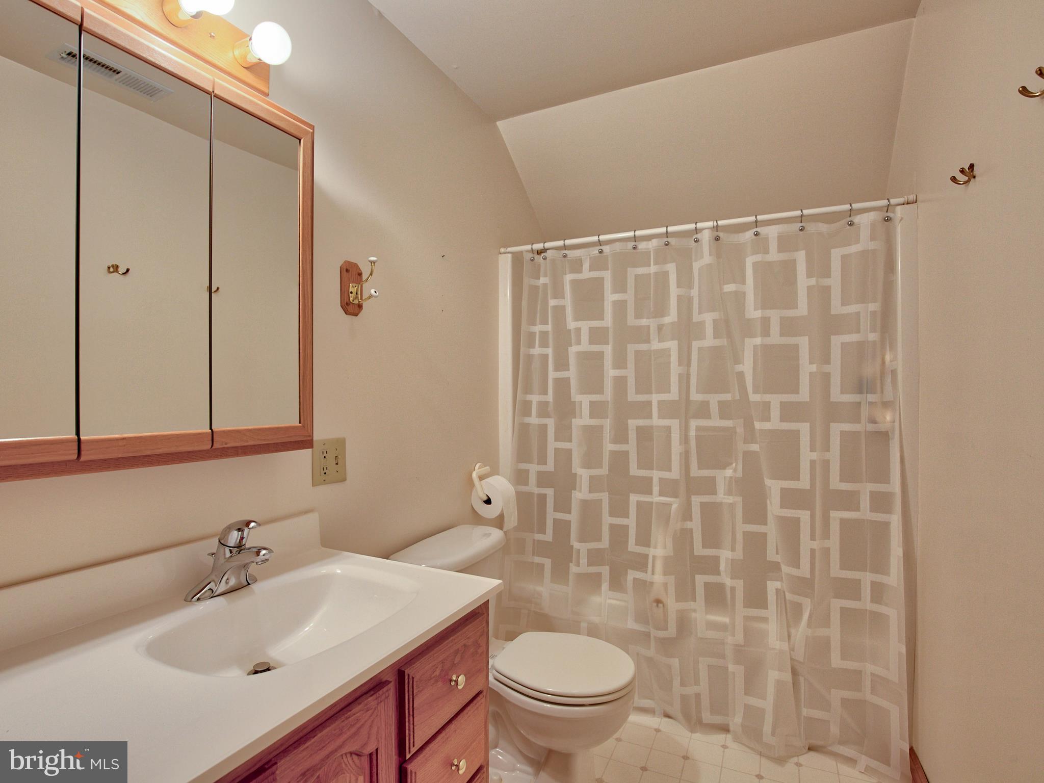 2619 Apple Pie Ridge Road Winchester, VA 22603 - Photo 23 of 29 a bathroom with a sink a toilet and shower