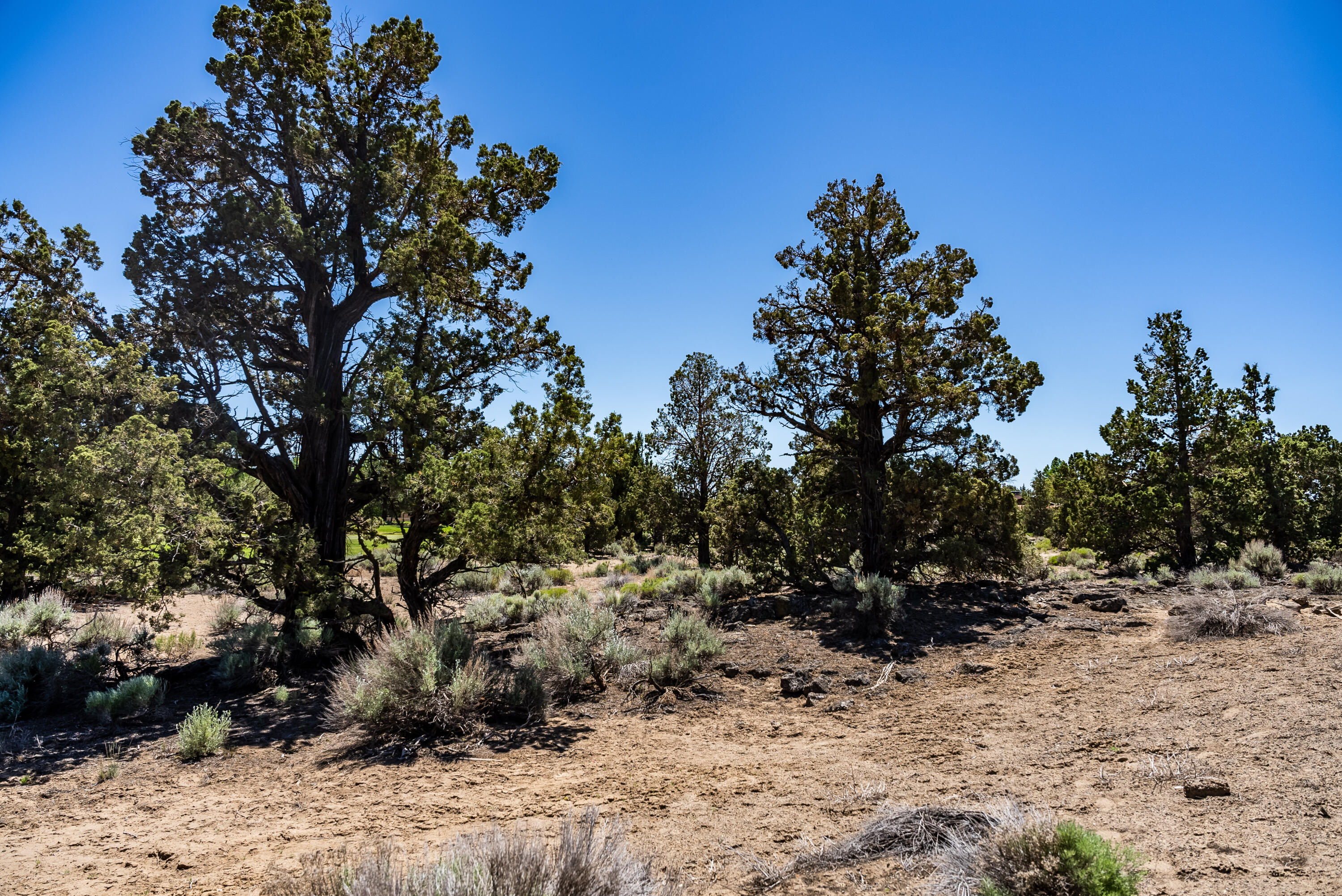 Canyon View Loop Bend Bend, OR 97701 - Photo 6 of 30 06