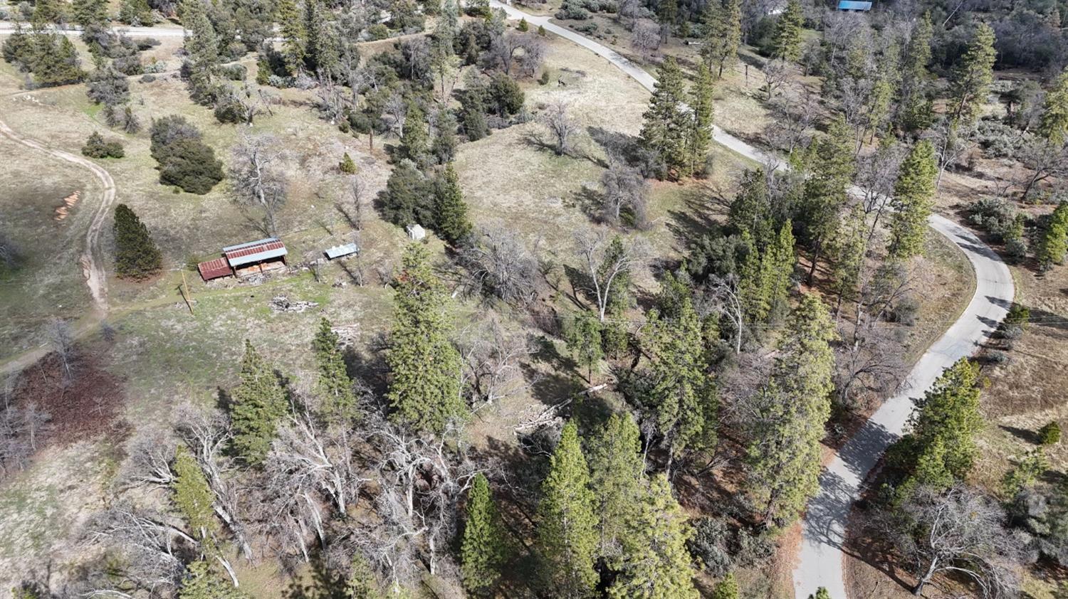 5 Lot 5 Hard Times Ranch Rd Fork North Fork, CA 93643 - Photo 9 of 10