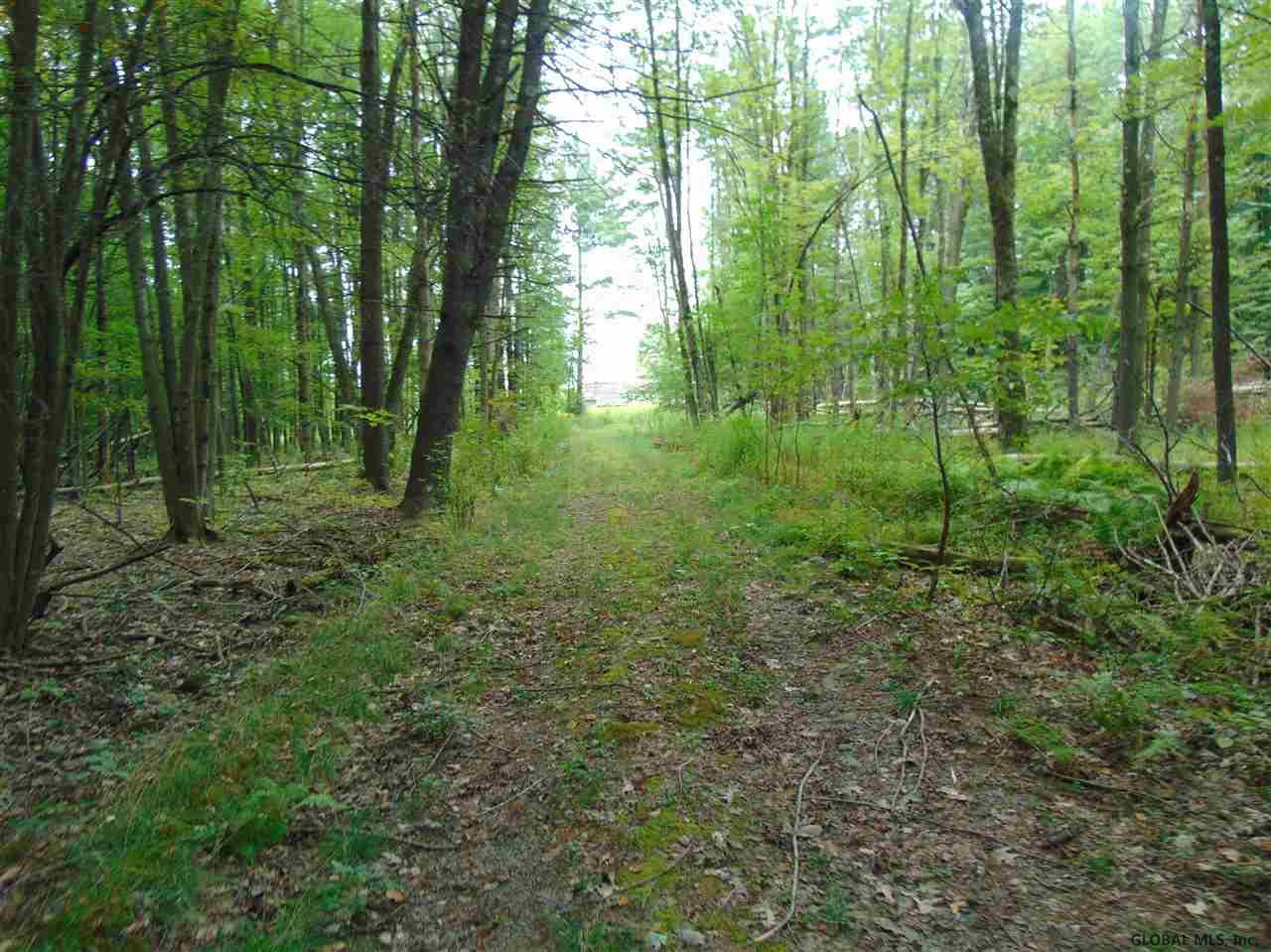 144 Methodist Farm Road Sand Lake, NY 12018 - Photo 8 of 8 Photo 8