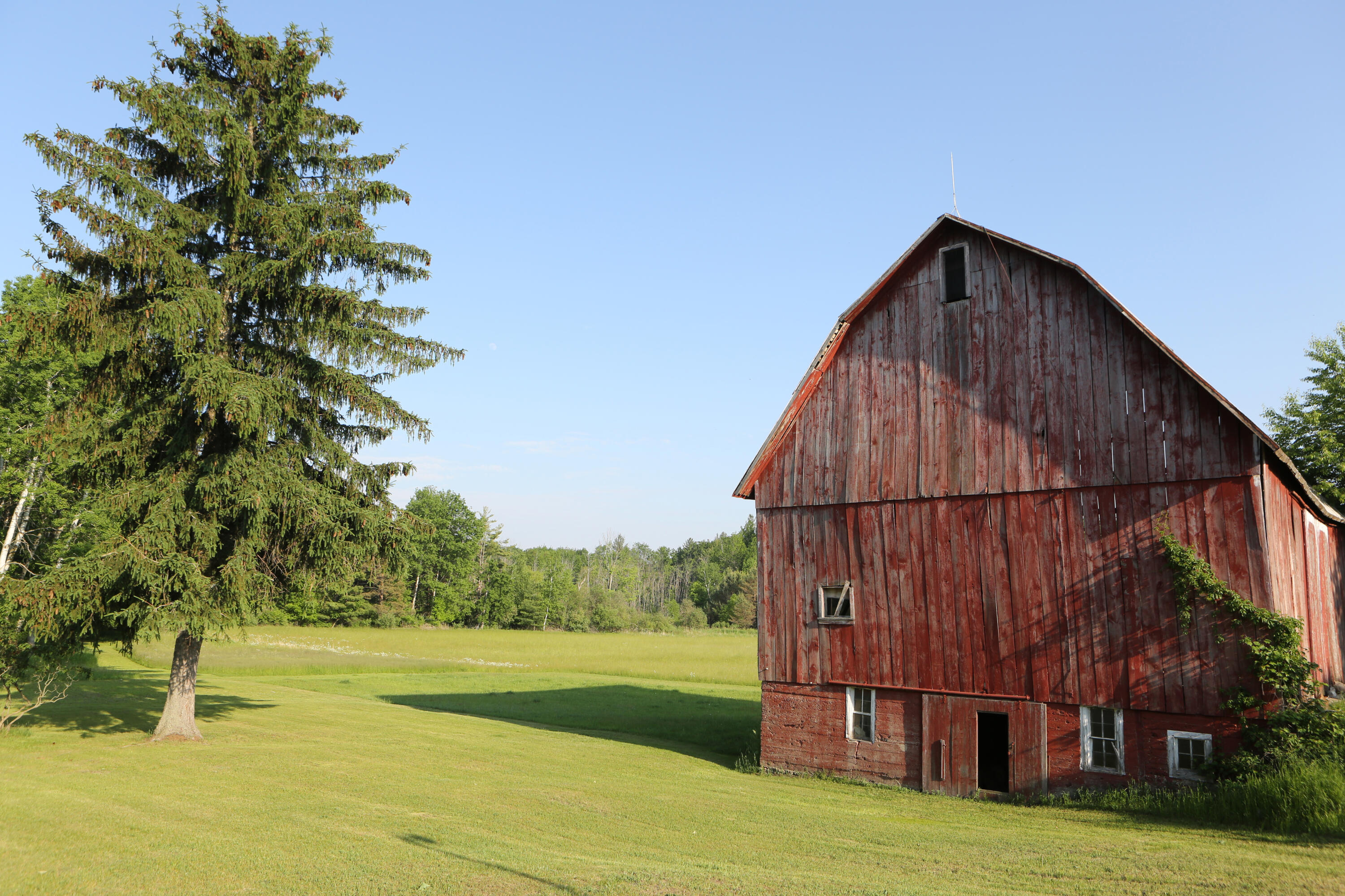 10750 B Gravel Ridge Road Lakeview, MI 48850 - Photo 25 of 33 0032
