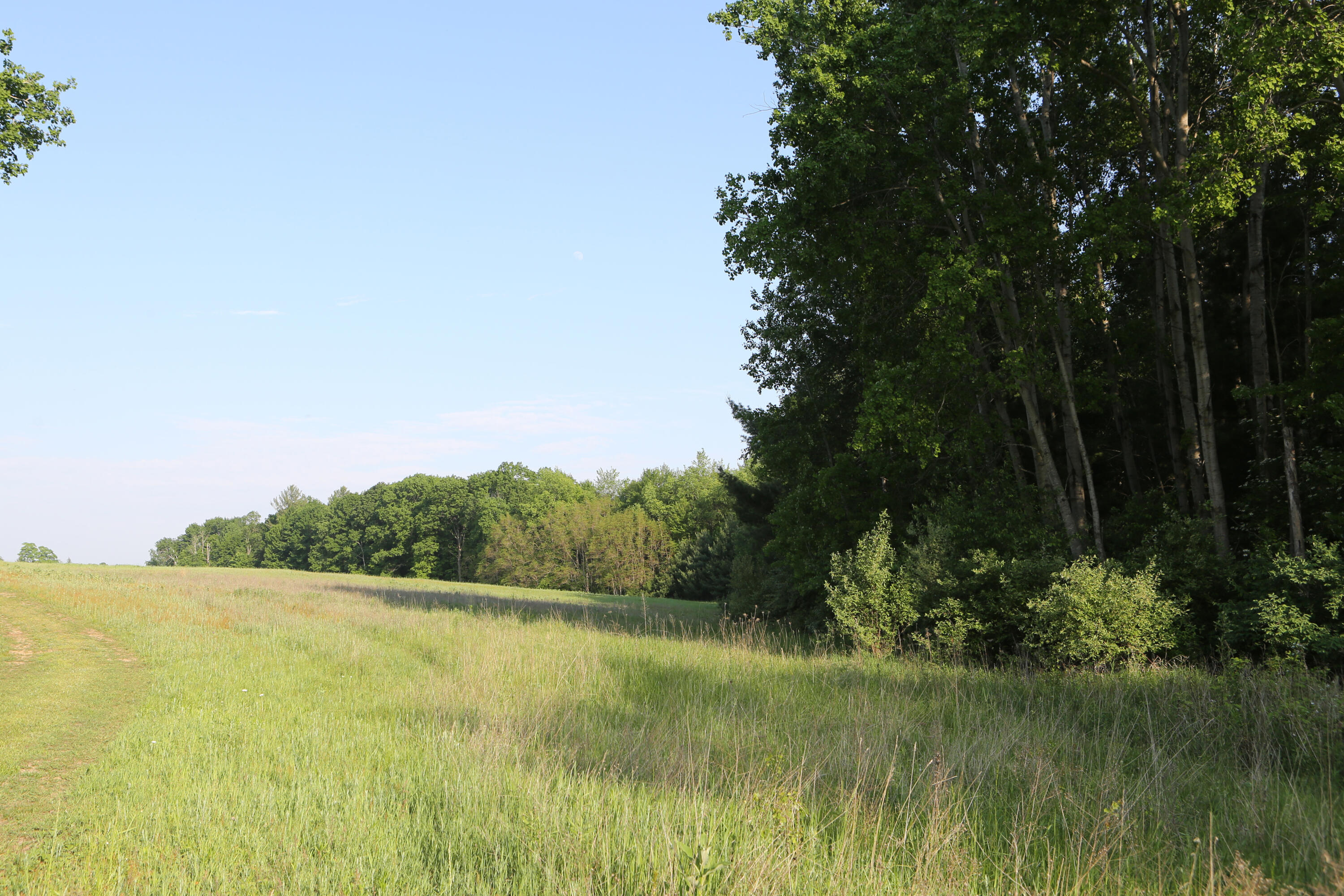 10750 B Gravel Ridge Road Lakeview, MI 48850 - Photo 29 of 33 0039
