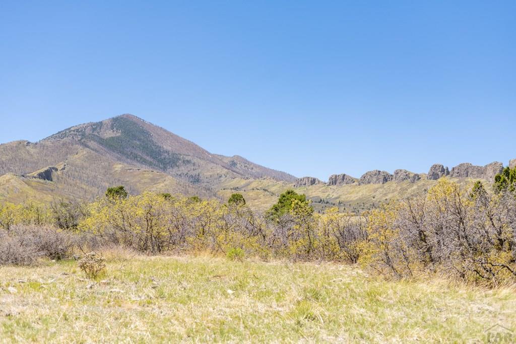 Lot 25 Majors Ranch Walsenburg, CO 81089 - Photo 34 of 34
