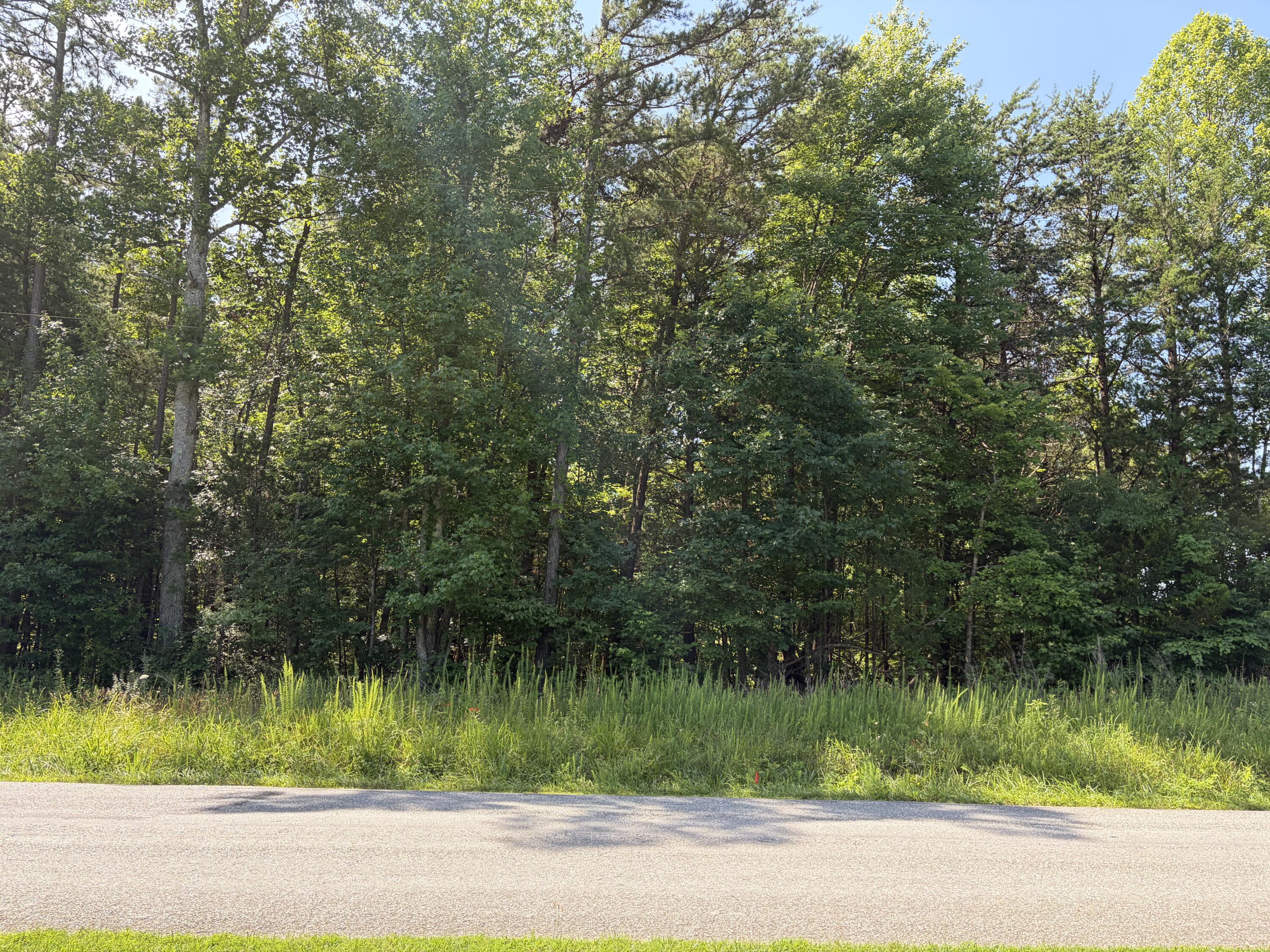 0 Free State Road Green Bay, VA 23954 - Photo 1 of 4 Road View