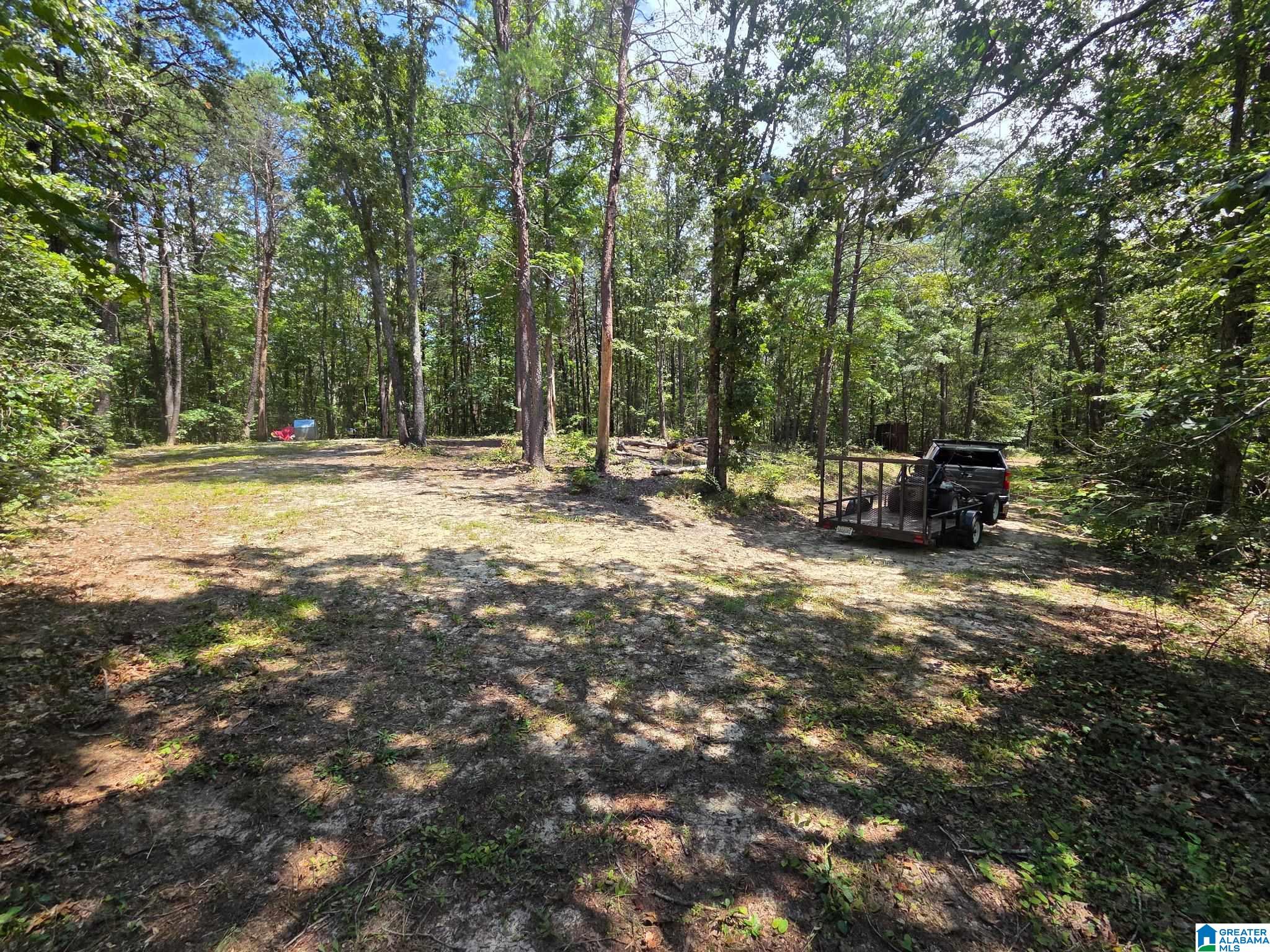 2 County Road 2, Unit 50 / ACRES Double Springs, AL 35553 - Photo 18 of 79