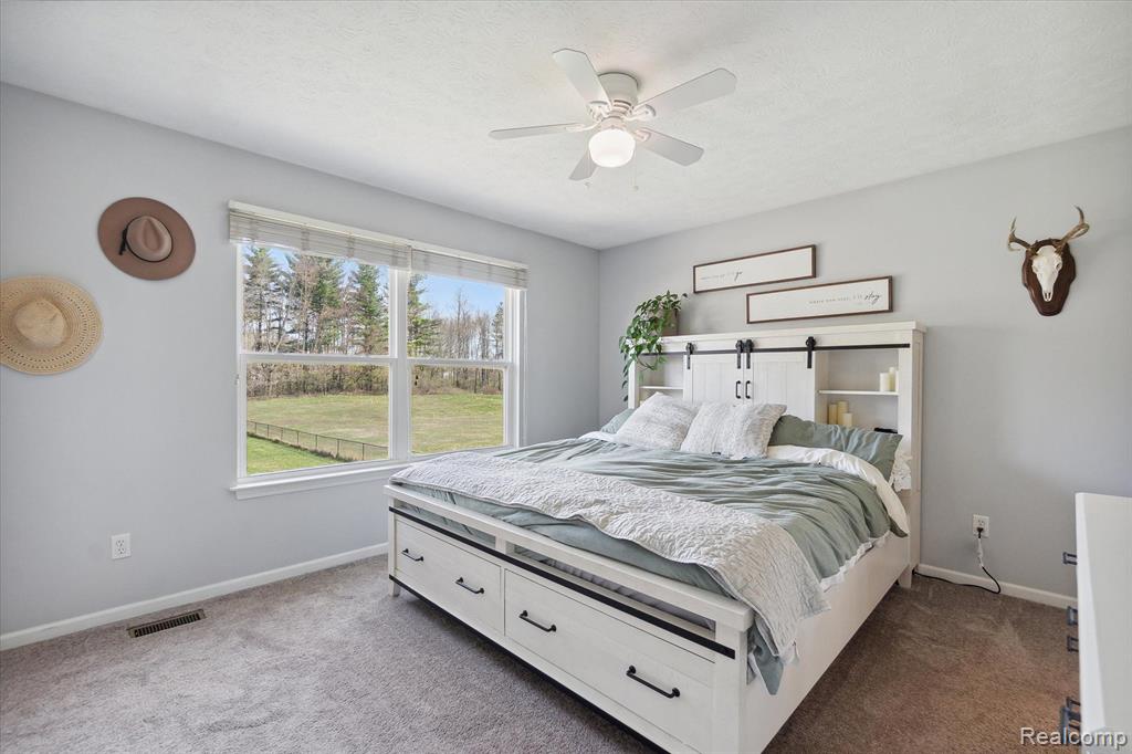 10102 Redhawk Drive Perry, MI 48872 - Photo 17 of 43 Gallery Image 17