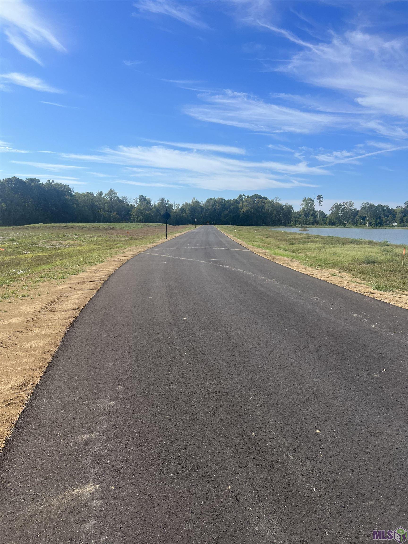 Lot # Buddy Gore Road Gonzales, LA 70737 - Photo 2 of 7