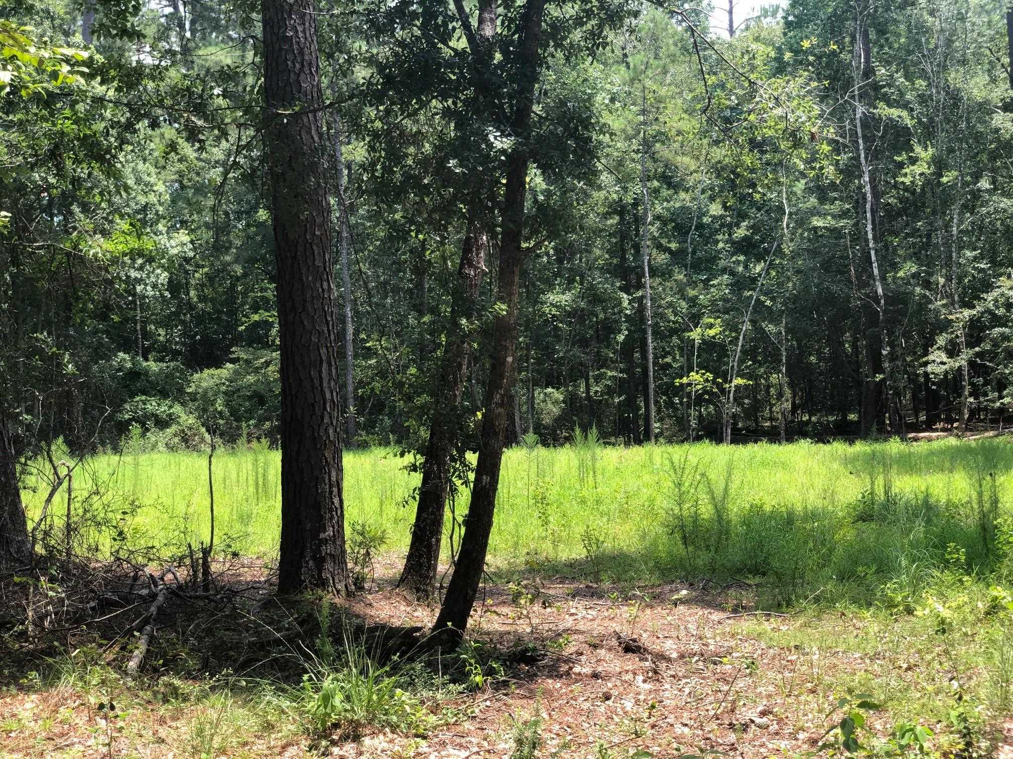 10280 Old Stage Road Stockton, AL 36579 - Photo 3 of 9