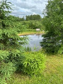 645 Rista Road New Sweden, ME 04762 - Photo 13 of 44 IMG954993