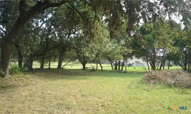 a view of a trees in a yard