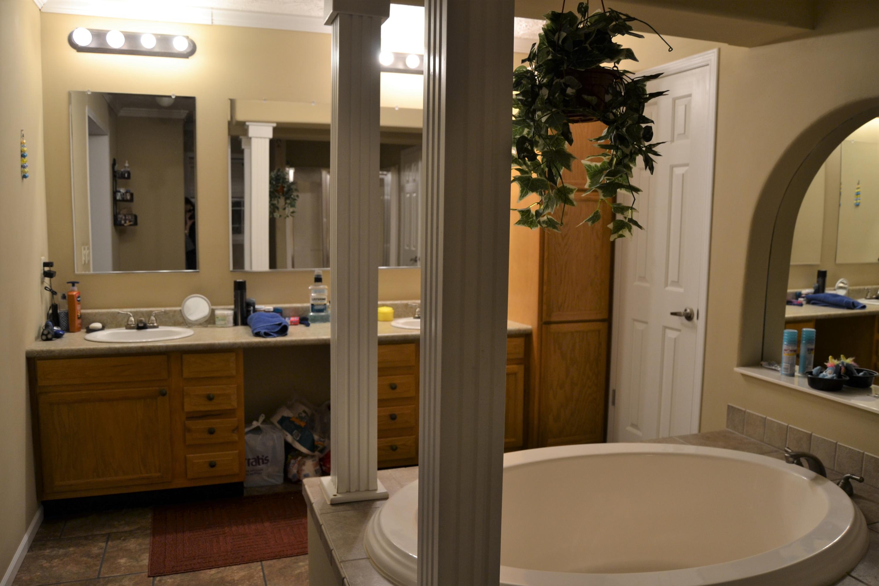 1419 Turkey Blind Road Crossville, TN 38572 - Photo 19 of 32 Master Bath