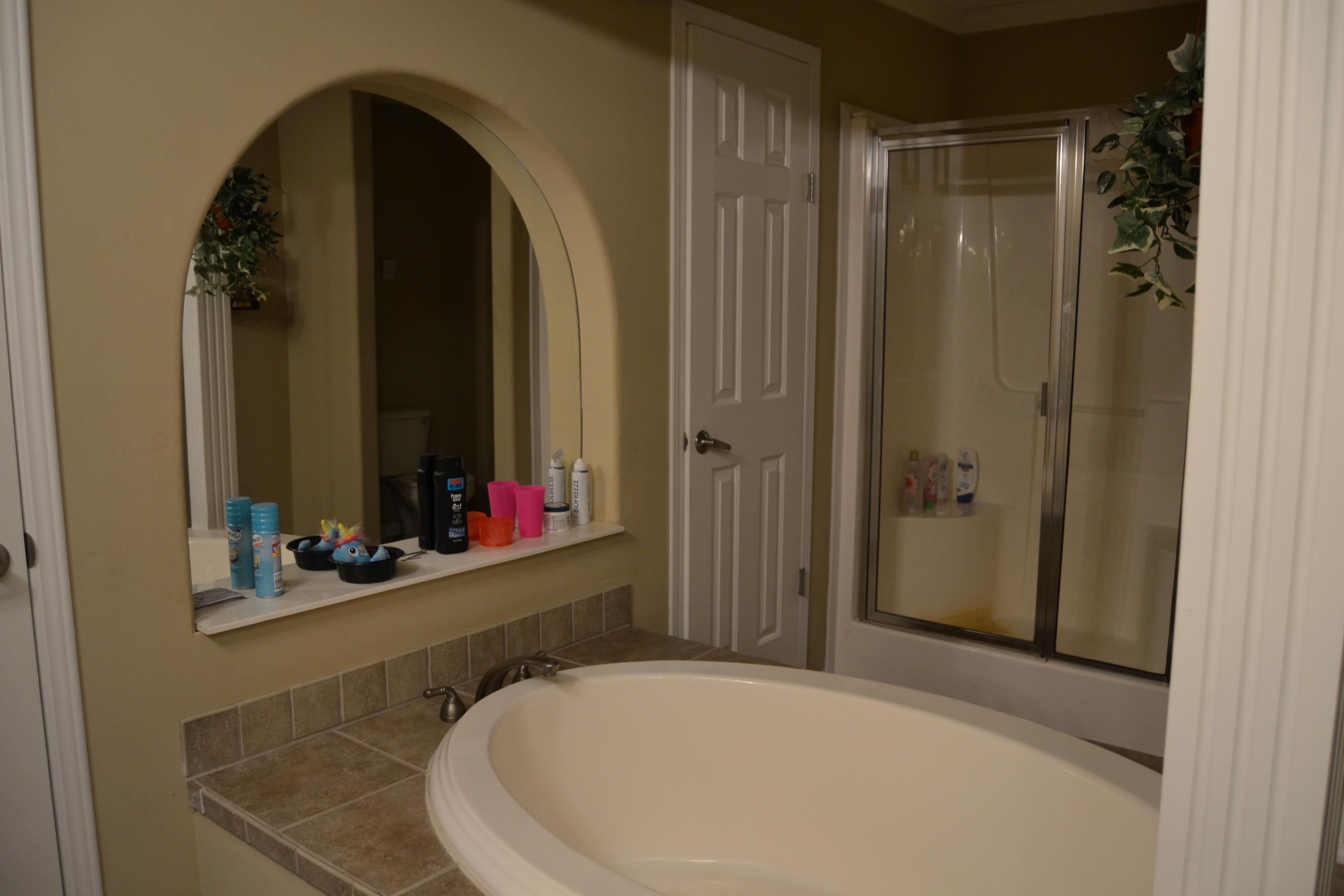 1419 Turkey Blind Road Crossville, TN 38572 - Photo 20 of 32 Master Shower