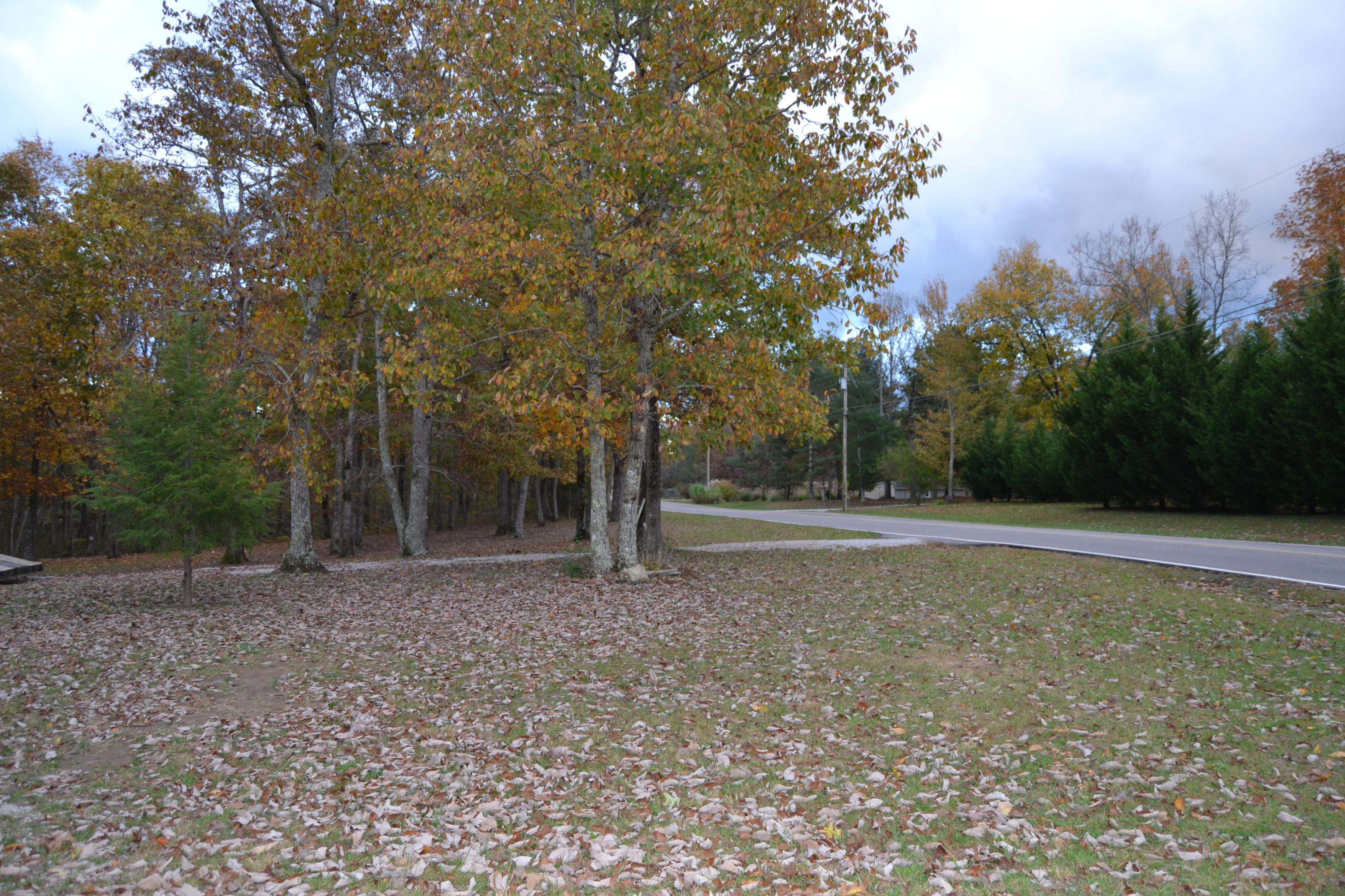 1419 Turkey Blind Road Crossville, TN 38572 - Photo 7 of 32 Front yard