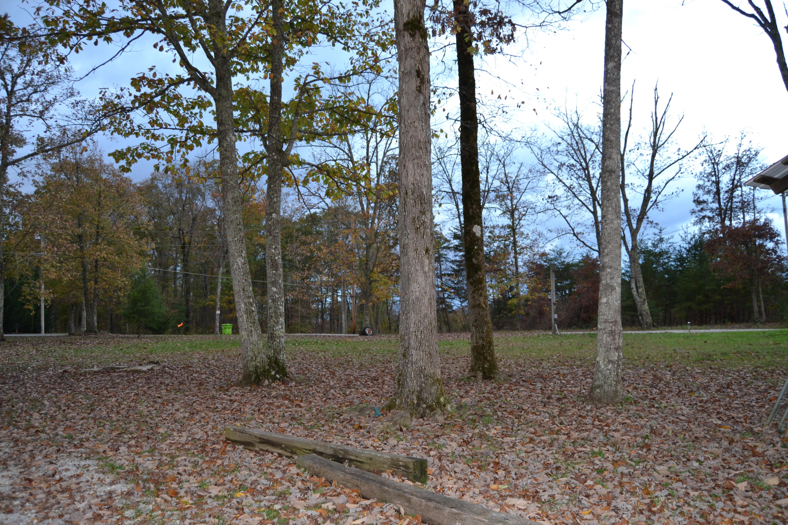 1419 Turkey Blind Road Crossville, TN 38572 - Photo 9 of 32 Front yard