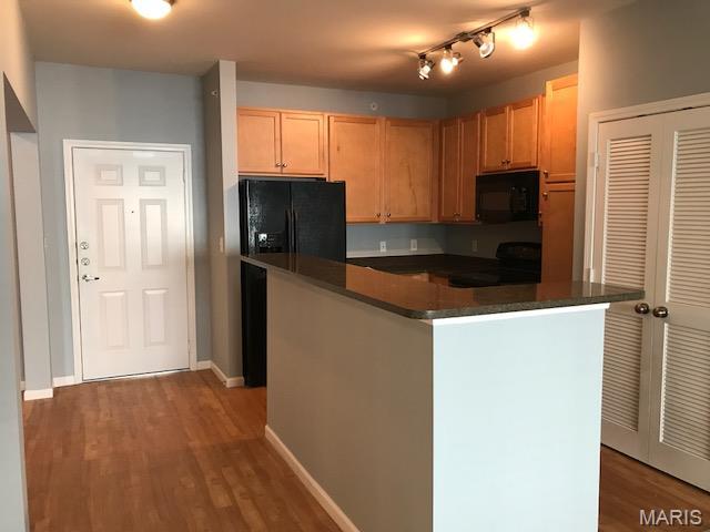 1251 Strassner Drive, Unit 2303 Brentwood, MO 63144 - Photo 3 of 20