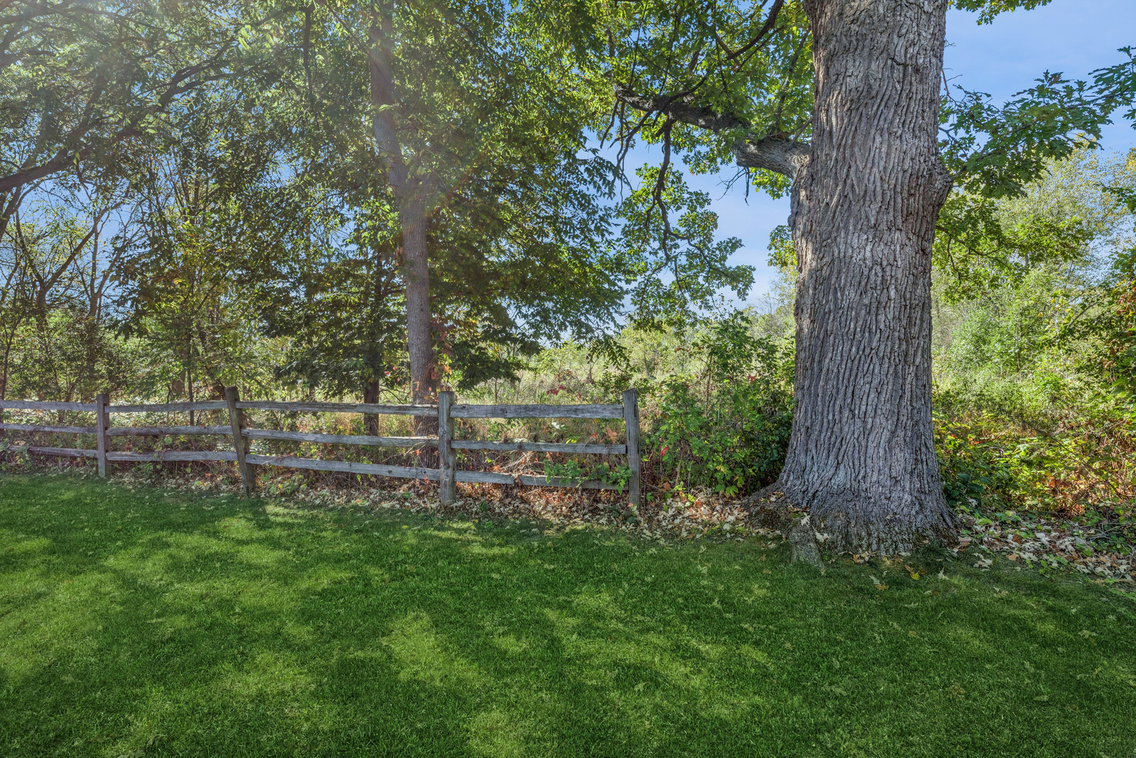 422 Northgate Road Lindenhurst, IL 60046 - Photo 17 of 24 a backyard of a house with lots of green space