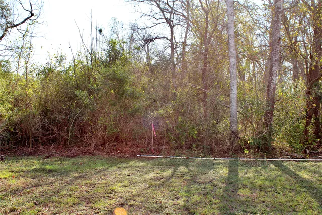 $55,000 | 1040 Wilderness Lane, Eagle Lake, TX 77434