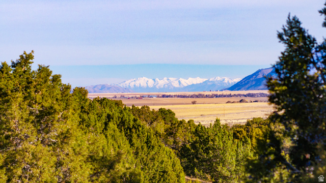 0 County Road 28 Levan, UT 84639 - Photo 161 of 207