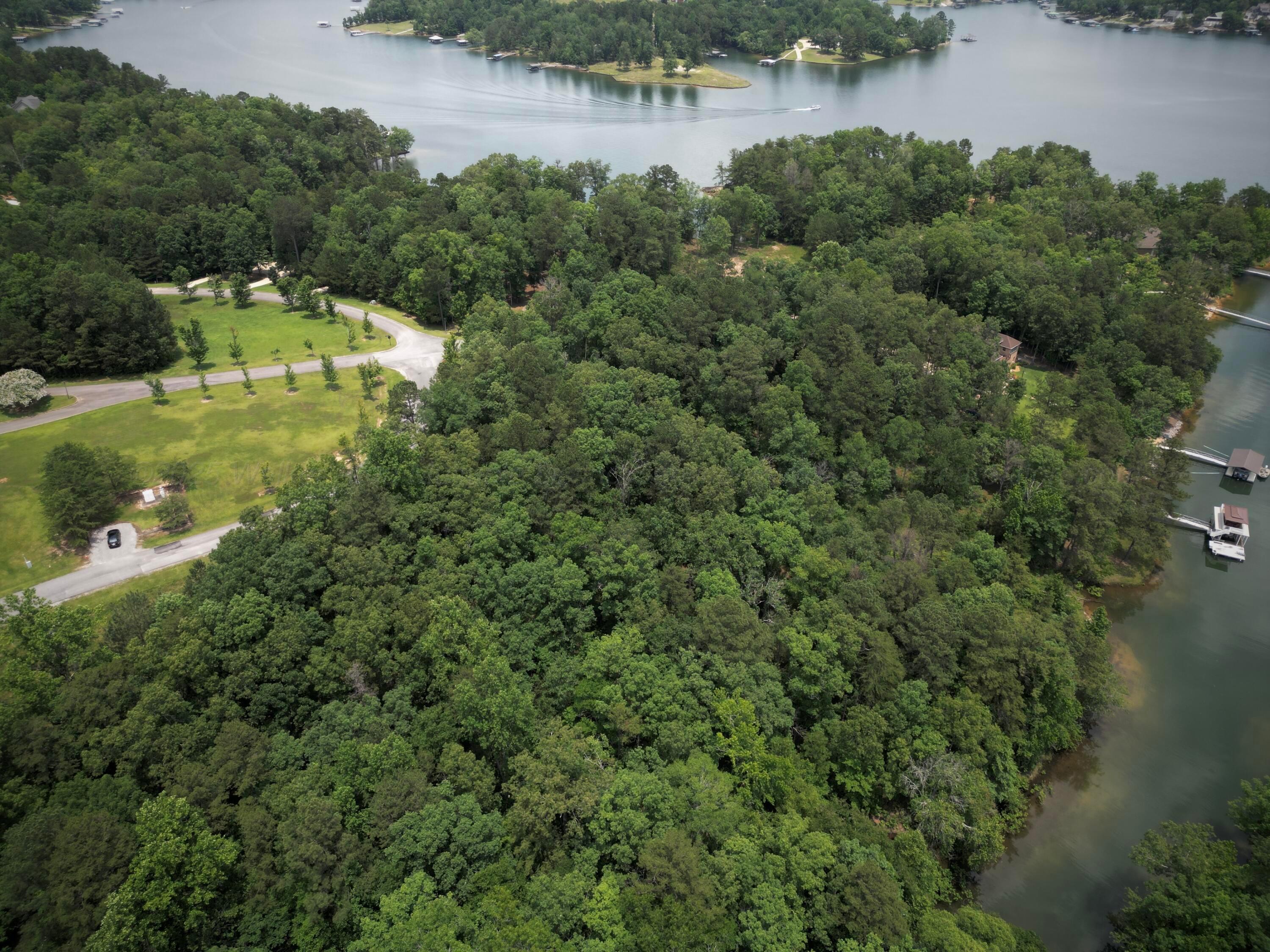 Lot 31 Stoney Point Road Double Springs, AL 35553 - Photo 7 of 22 image25