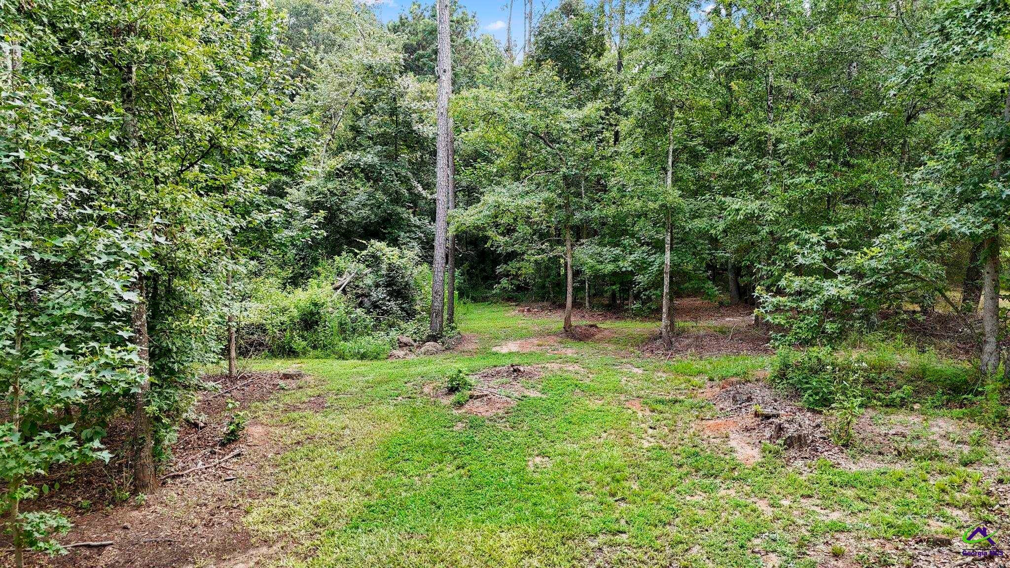 216 Kersey Road Elko, GA 31025 - Photo 64 of 65 Gallery Image 64