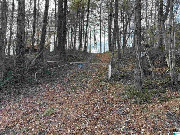 $50,000 | 0 Old Georgia Road, Fruithurst, AL 36262