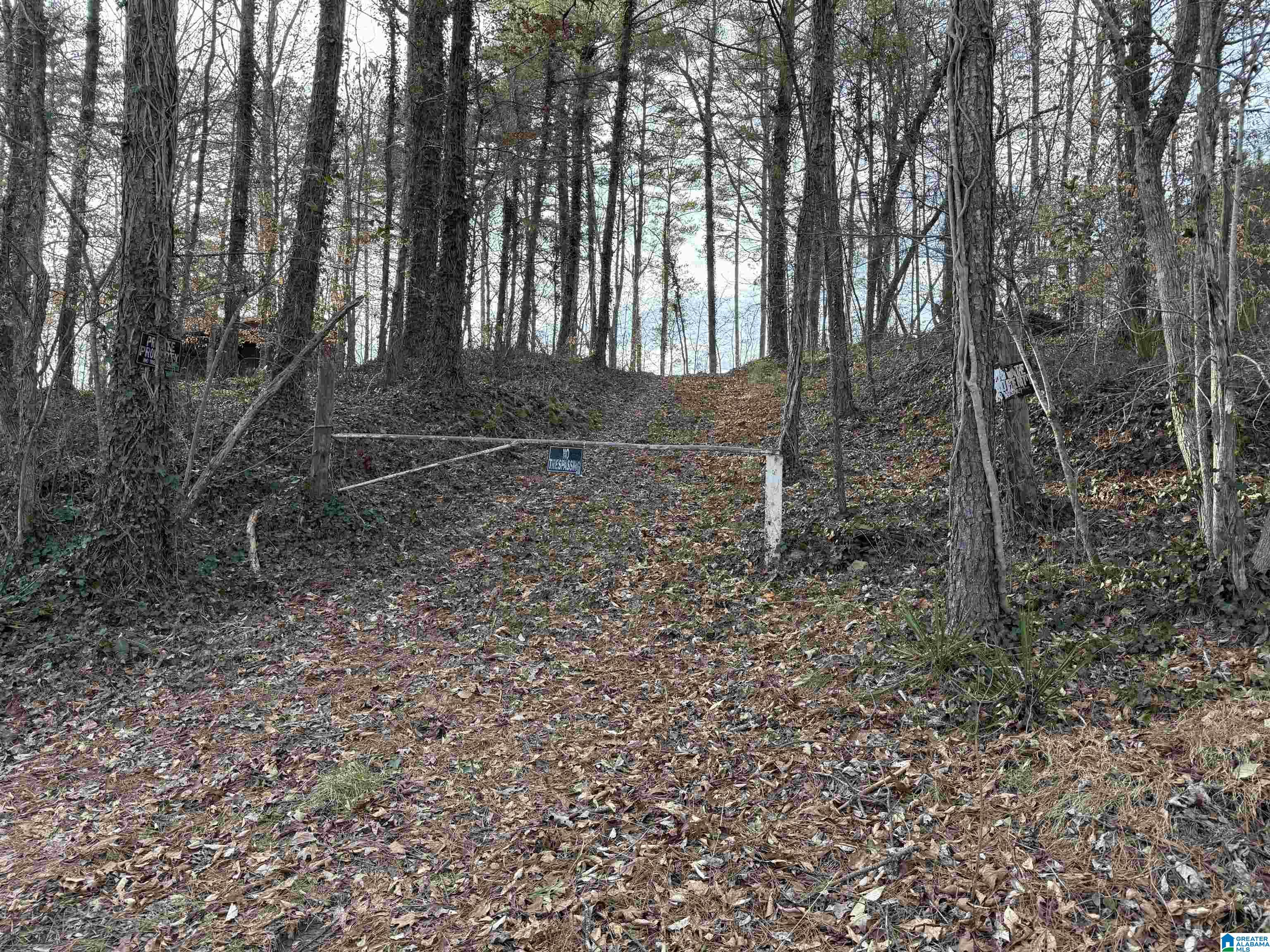 0 Old Georgia Road Fruithurst, AL 36262 - Photo 1 of 10
