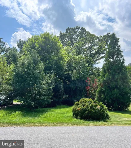 a view of a house with backyard and tree