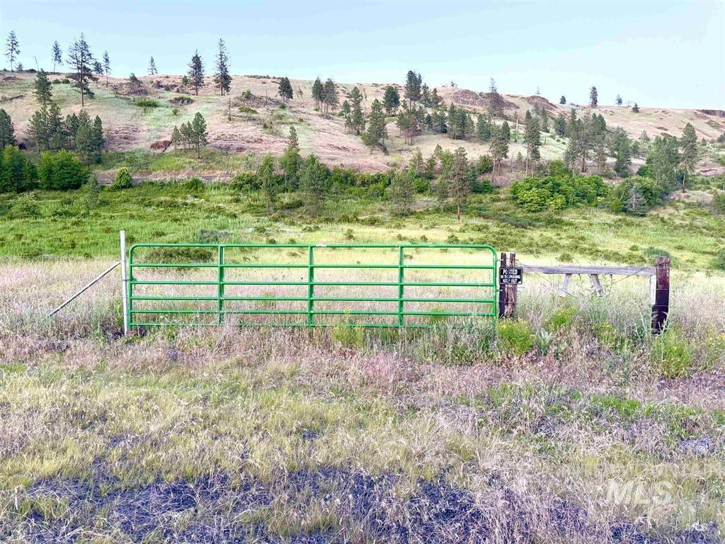 Tbd Lot #2 Beaverslide Road Kamiah, ID 83536 - Photo 9 of 18 Gallery Image 9
