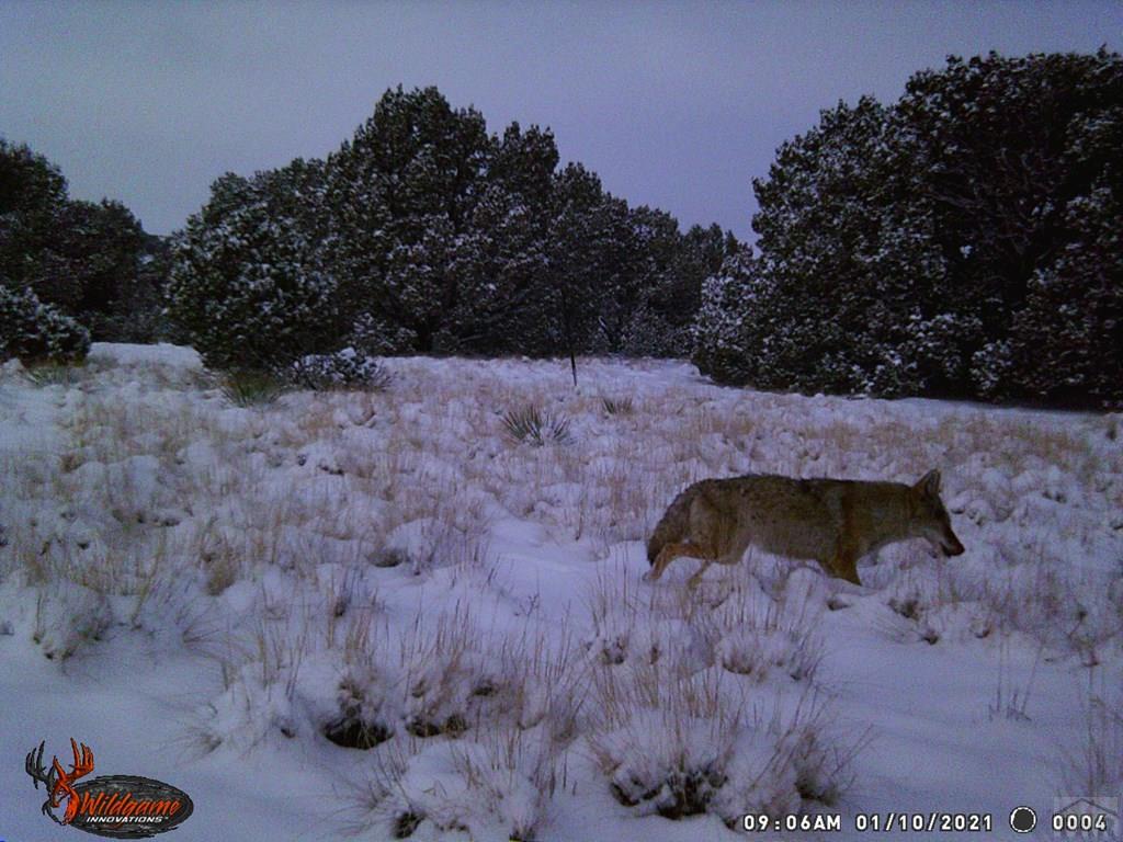 0 Co Road Trinidad, CO 81082 - Photo 36 of 64 Gallery Image 36