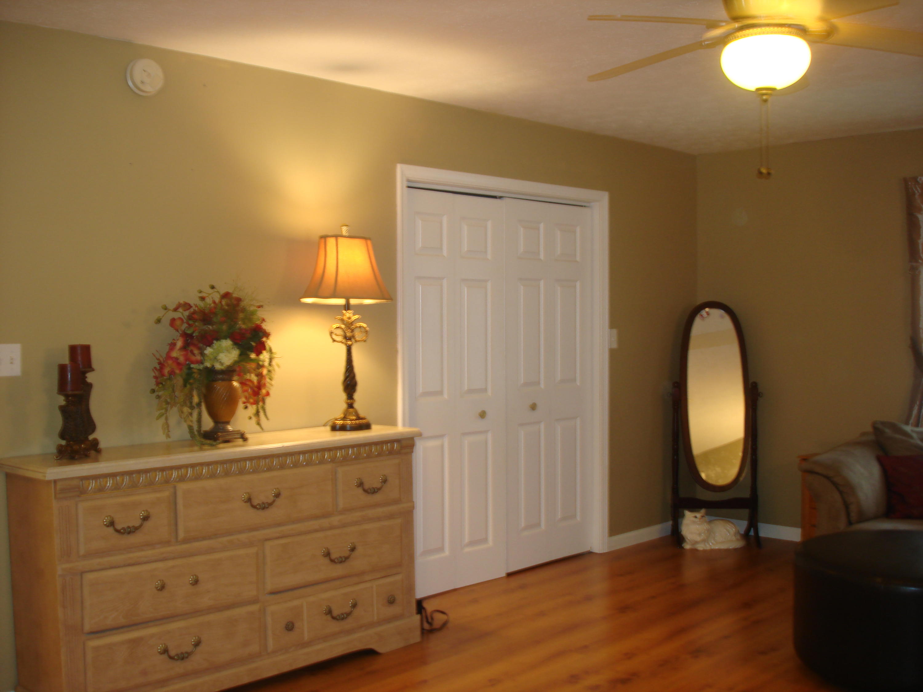 225 Iroquois Road Oak Ridge, TN 37830 - Photo 13 of 40 VIEW TOWARD MASTER WALKIN CLOSET