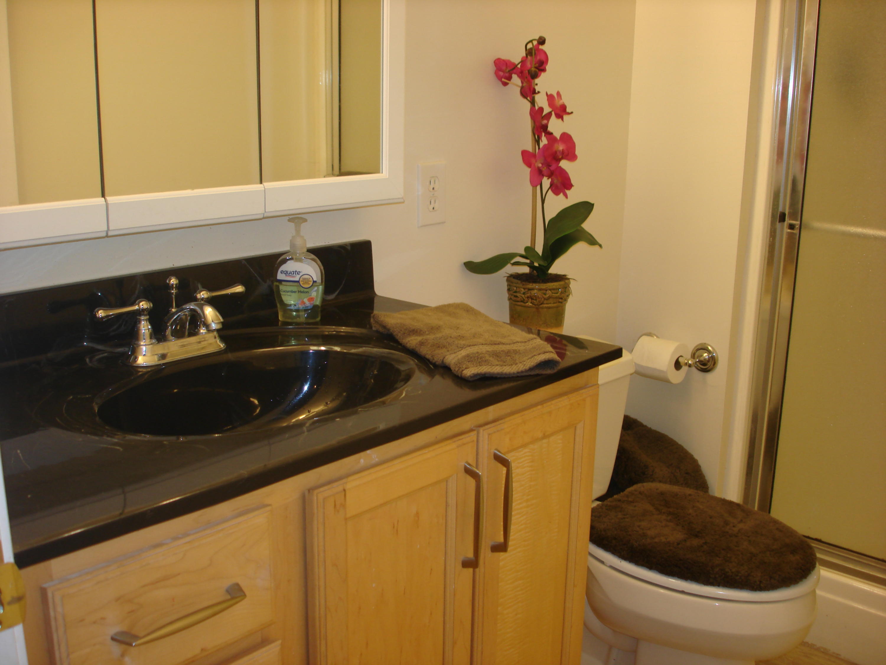 225 Iroquois Road Oak Ridge, TN 37830 - Photo 14 of 40 FULL BATH OFF MASTER
