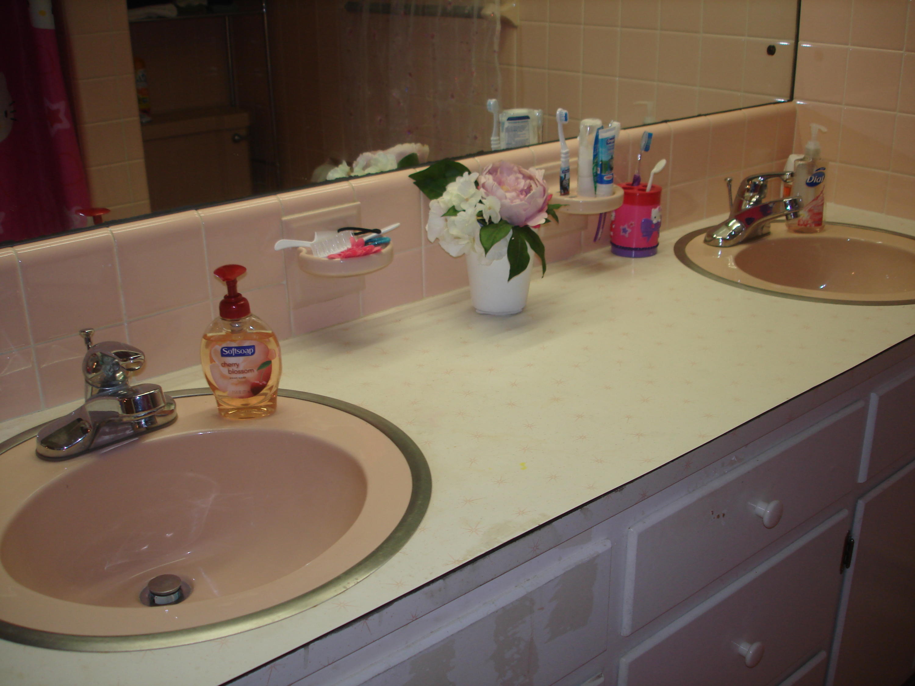 225 Iroquois Road Oak Ridge, TN 37830 - Photo 23 of 40 BATH #3