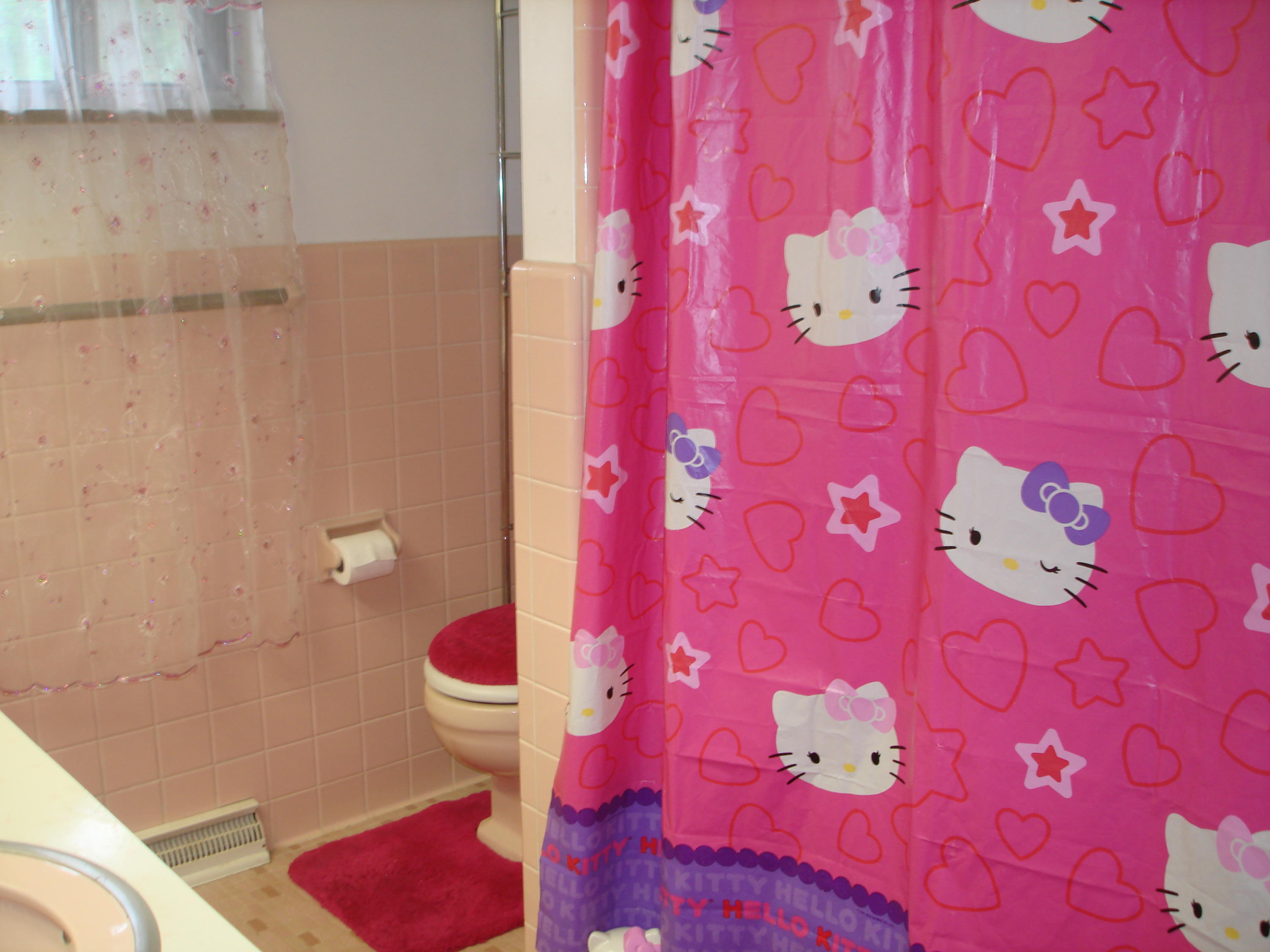 225 Iroquois Road Oak Ridge, TN 37830 - Photo 24 of 40 AND TUB SHOWER