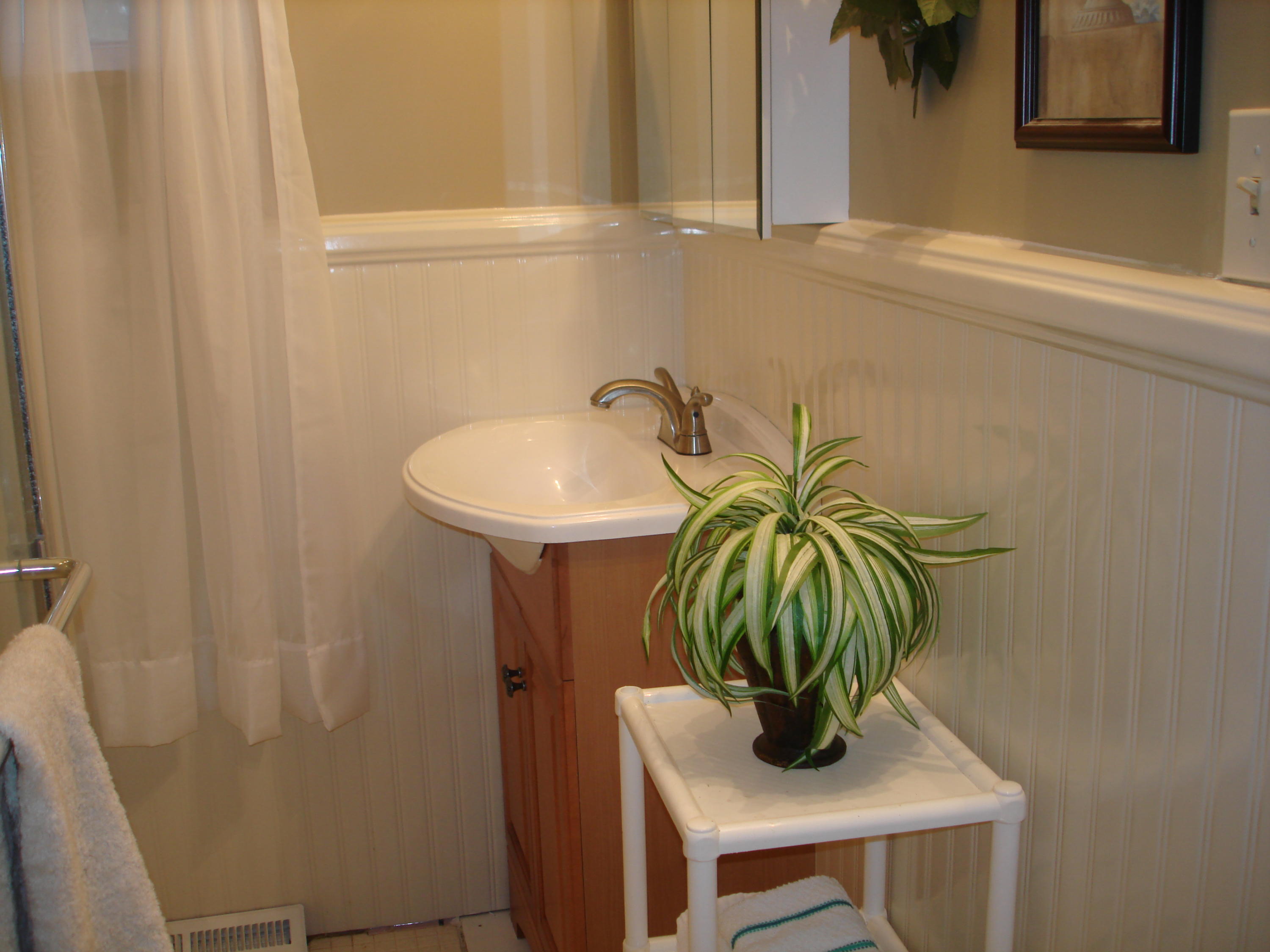 225 Iroquois Road Oak Ridge, TN 37830 - Photo 29 of 40 AND SINGLE VANITY