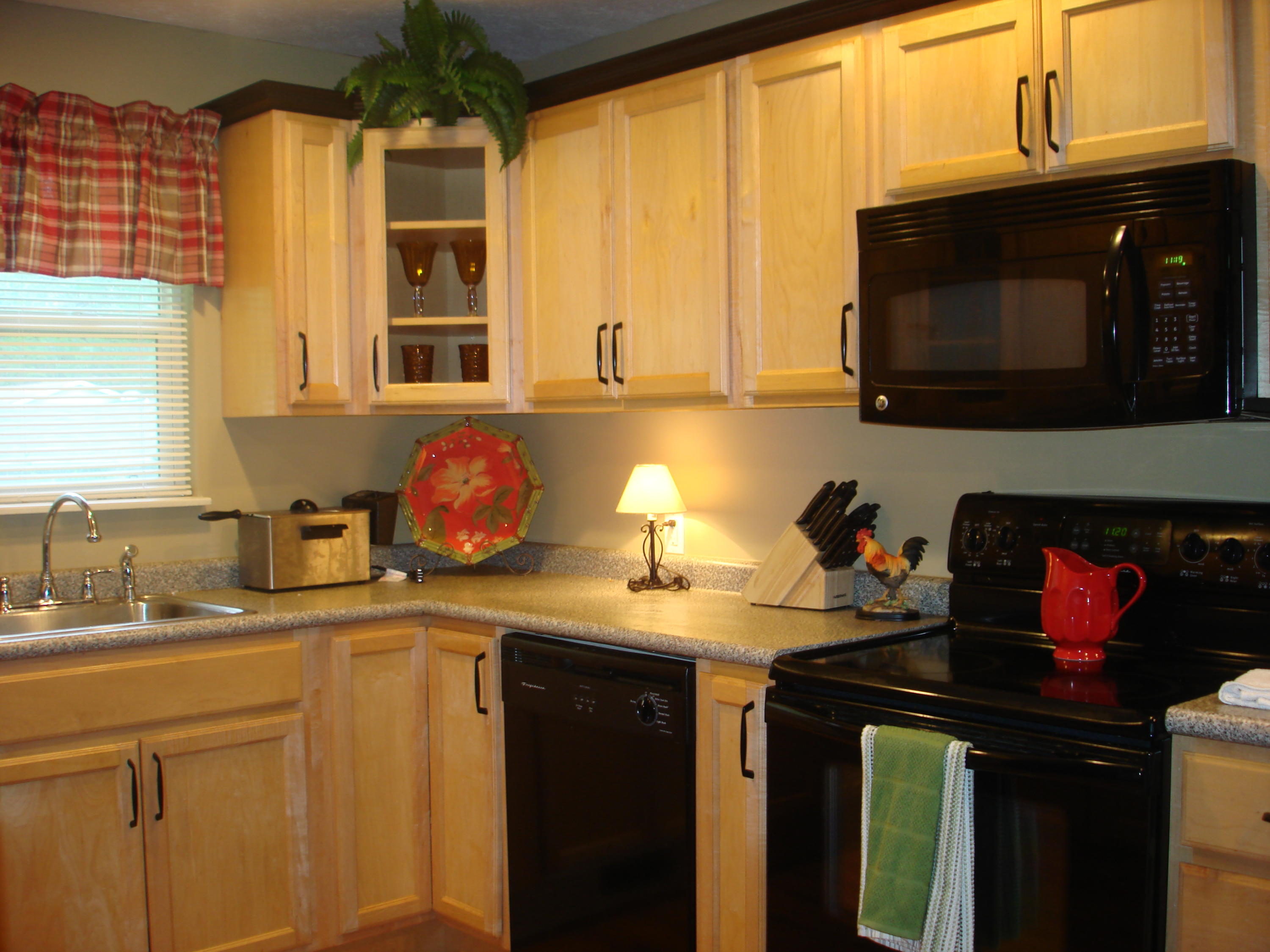 225 Iroquois Road Oak Ridge, TN 37830 - Photo 4 of 40 EQUIPPED WITH ALL APPLIANCES
