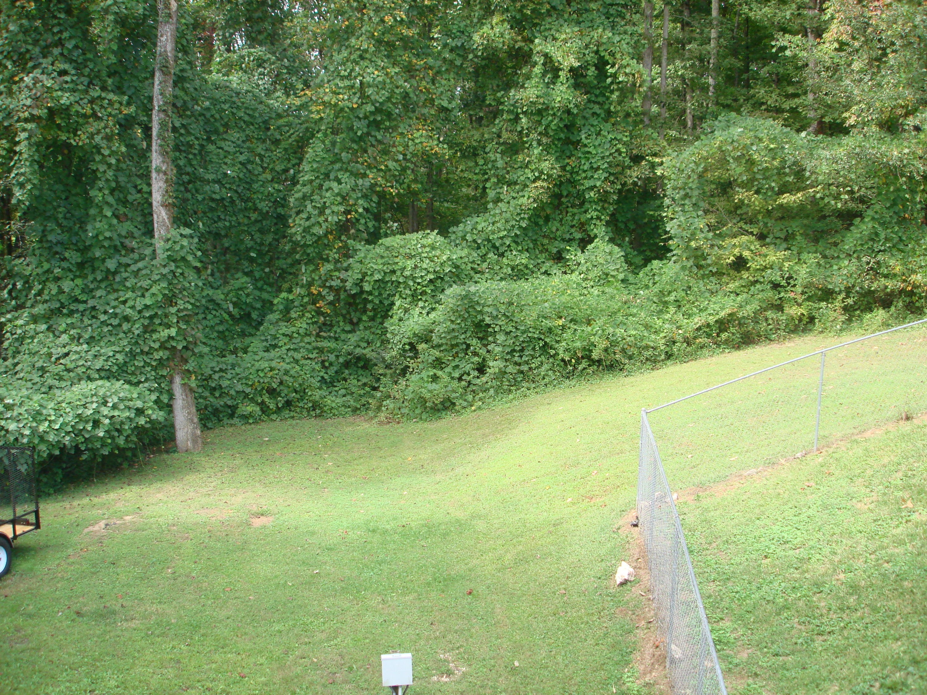 225 Iroquois Road Oak Ridge, TN 37830 - Photo 33 of 40 PRIVATE BACK YARD